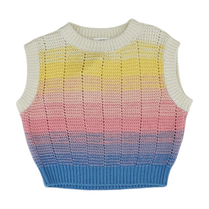 Multi Color Block Vest Sweater