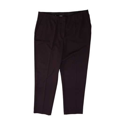 Purple Regular Pants
