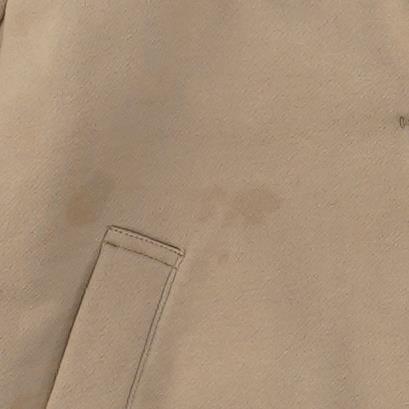 Beige Solid Coat
