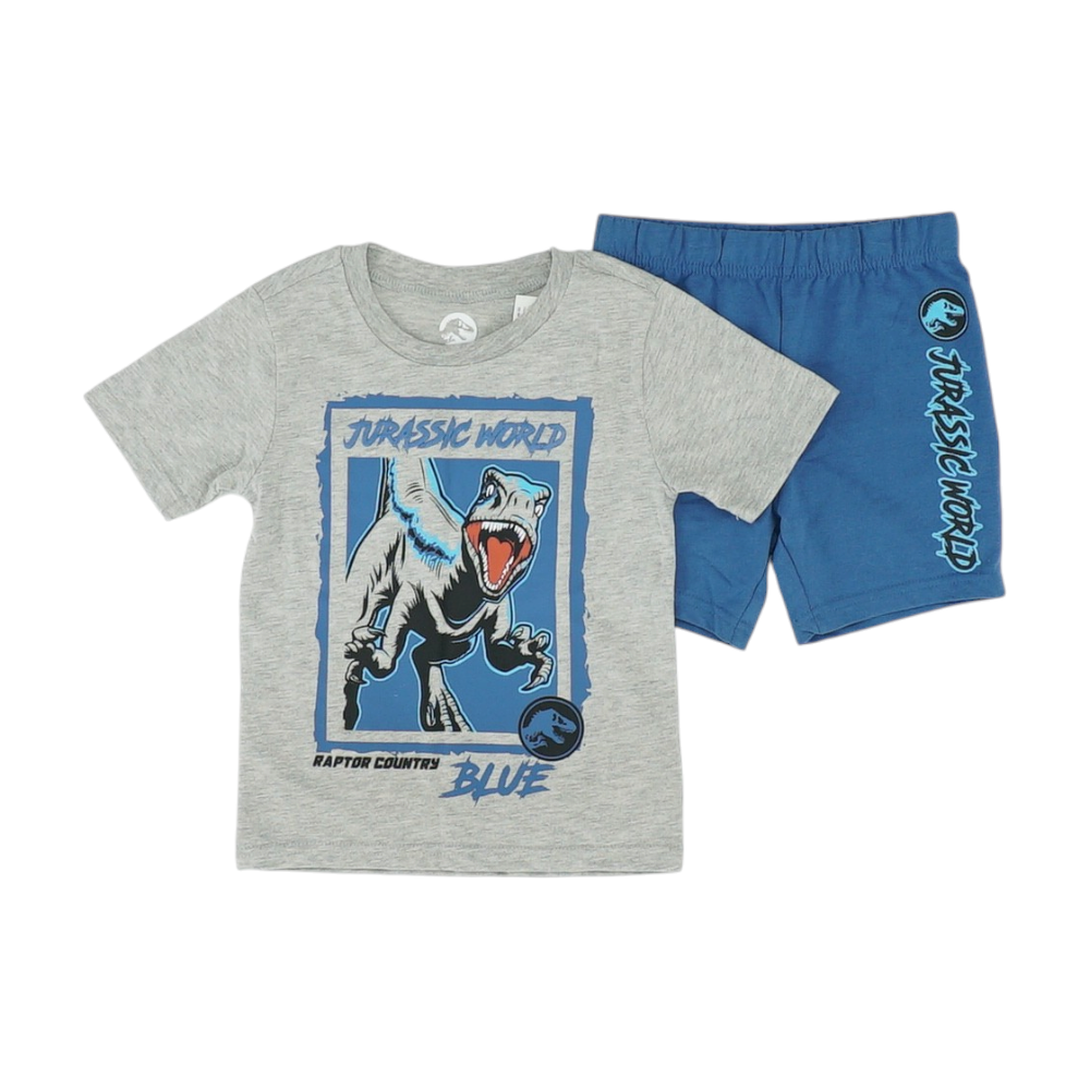 Gray Short Sleeve Set