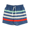 Multi Striped Swim Bottom