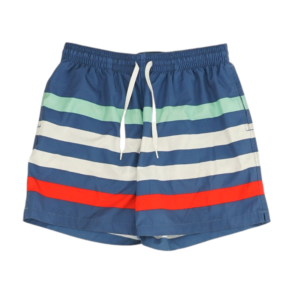 Multi Striped Swim Bottom