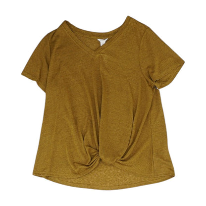 Brown Solid V Neck Knit Top