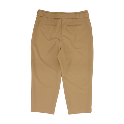 Khaki Plus Regular Pants