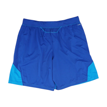 Blue Color Block Active Shorts