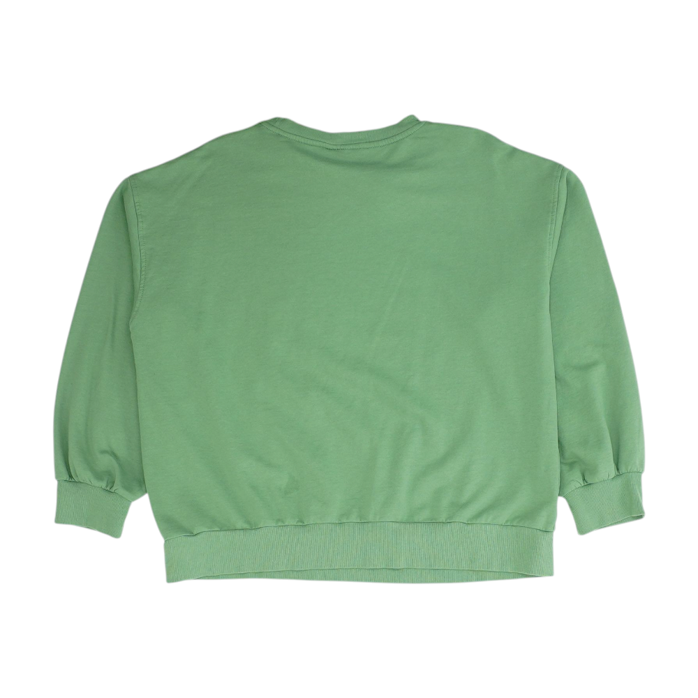 Green Solid Sweatshirt Pullover