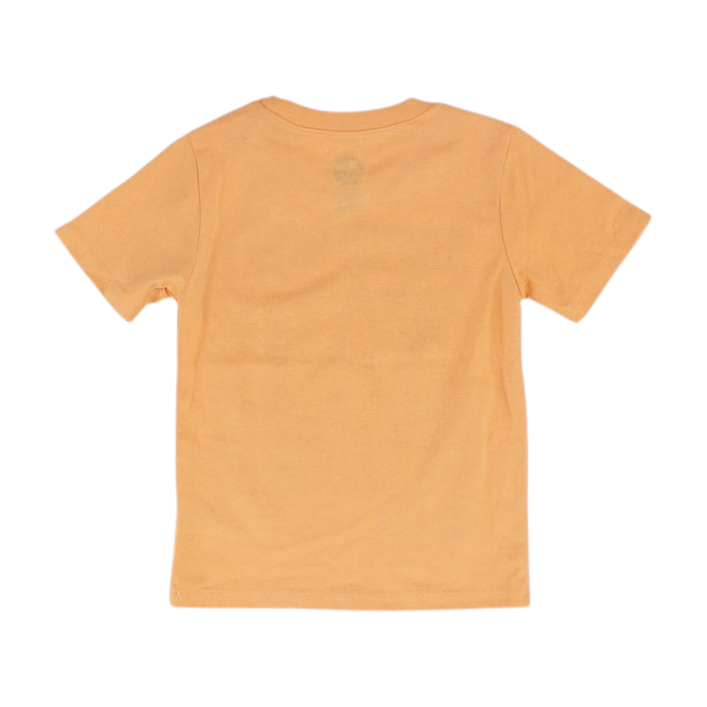Orange Short Sleeve Set