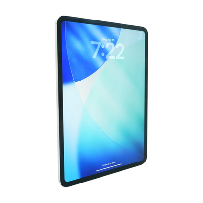 iPad Pro 11.0" Silver 5th Generation M4 256GB Carrier Unlocked Tablet
