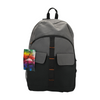 Gray Backpack