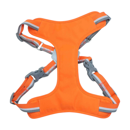 Orange Dog Harness