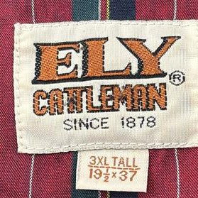 Vintage Red Tall Striped Long Sleeve Button Down