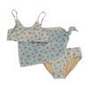 Blue Print Swim Set