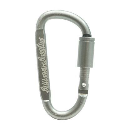 Locking (Not For Climbing) Carabiner