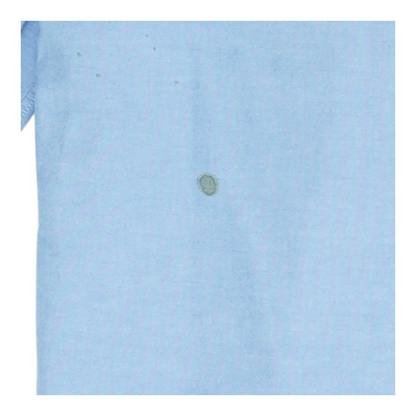 Blue Solid Long Sleeve Button Down