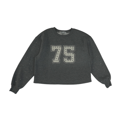 Gray Solid Sweatshirt Pullover