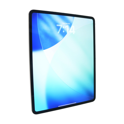 iPad Pro 13-inch (M4) 13.0" Silver 1st Gen 256GB Cellular Tablet