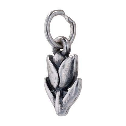 Sterling Silver Charm
