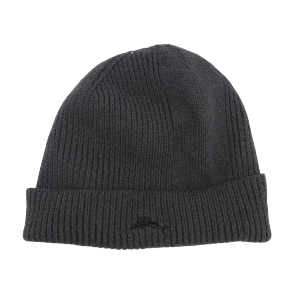 Gray Beanie