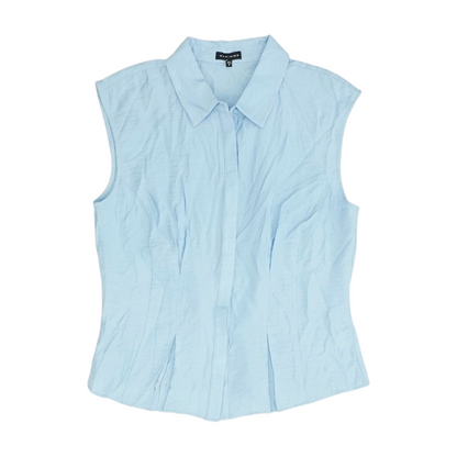 Blue Blouse