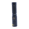 Blacklight Flashlight
