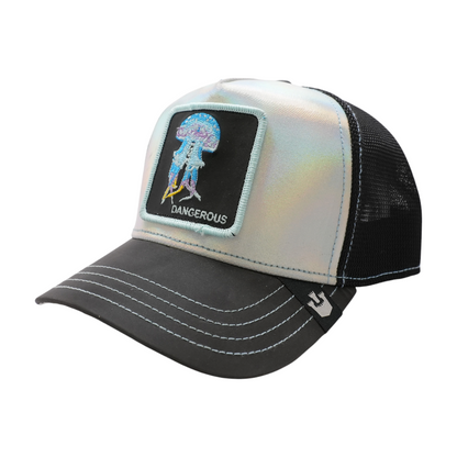 Silver Ballcap Hat