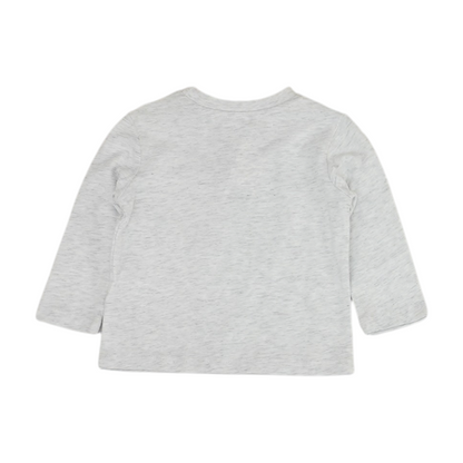 Gray T-Shirt