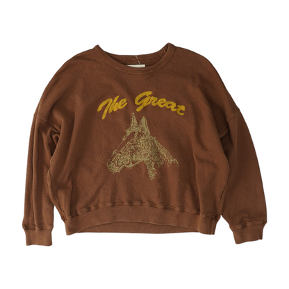 Brown Solid Sweatshirt Pullover