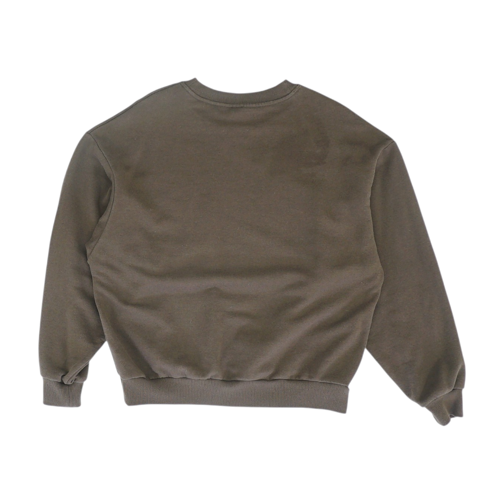 Brown Solid Sweatshirt Pullover