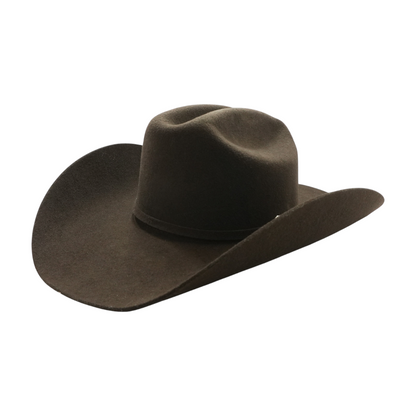 Brown Western Hat