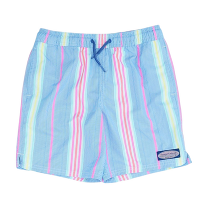 Multi Striped Swim Bottom
