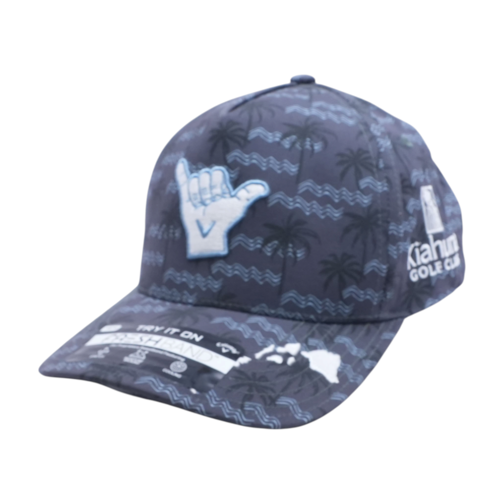Gray Ballcap