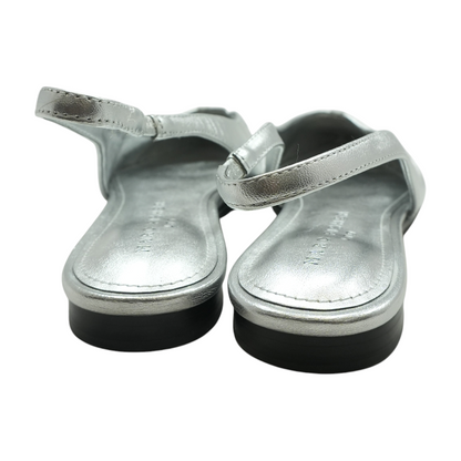 Silver Flats