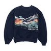Navy Solid Pullover Sweater