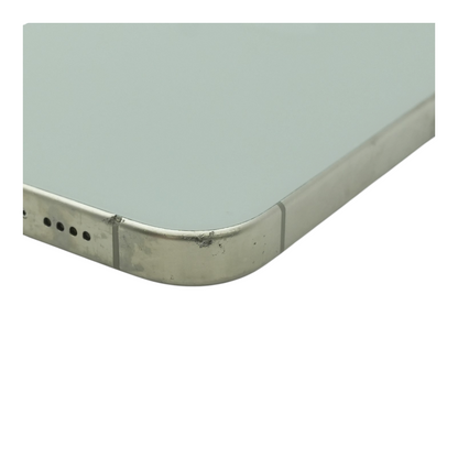 iPhone 15 Pro Max "Spectrum" 512GB Natural Titanium