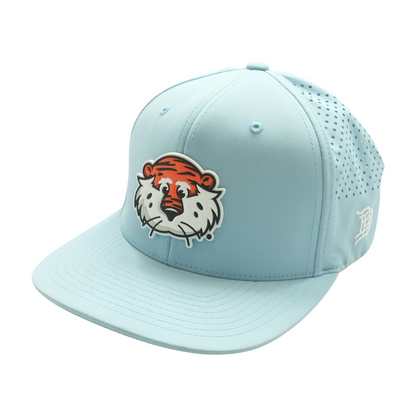 Blue Ballcap Hat