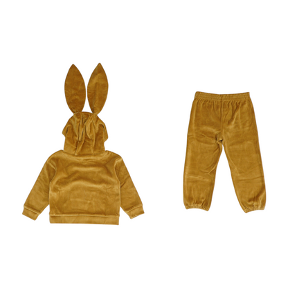 Brown Long Sleeve Set