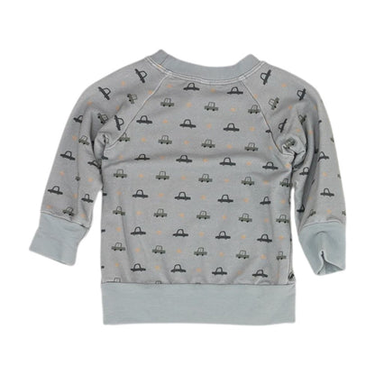 Gray Graphic Sweatshirt Pullover
