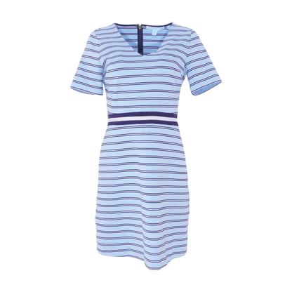 Blue Striped Mini Dress