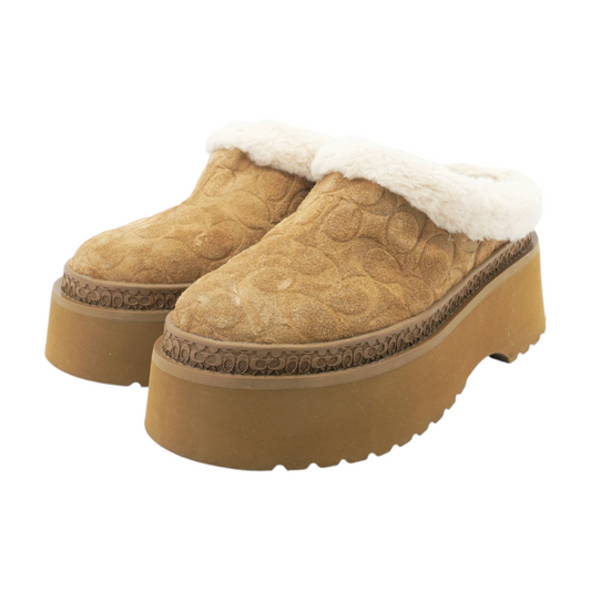 Brown Boots