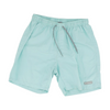 Blue Swim Bottom
