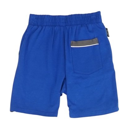 Blue Color Block Active Shorts