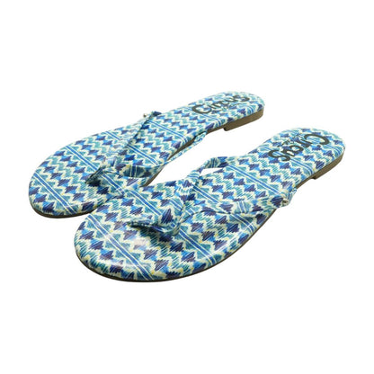 Blue Flip Flop Sandals