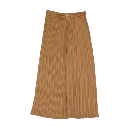 Brown Pants