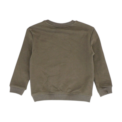Brown Graphic Sweatshirt Pullover