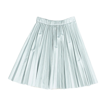 Silver Skirt