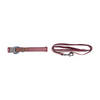 Burgundy Dog Collar & Leash