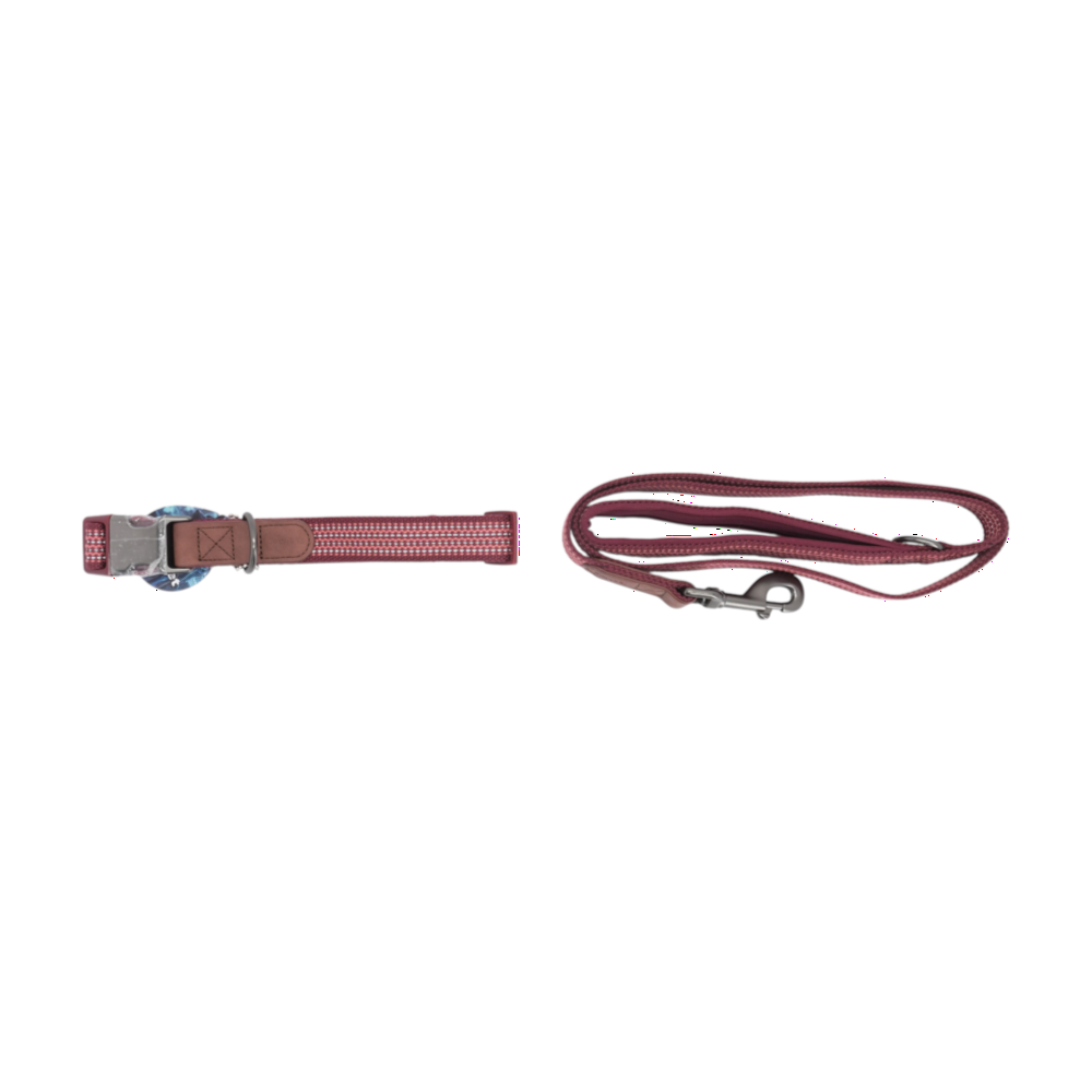 Burgundy Dog Collar & Leash
