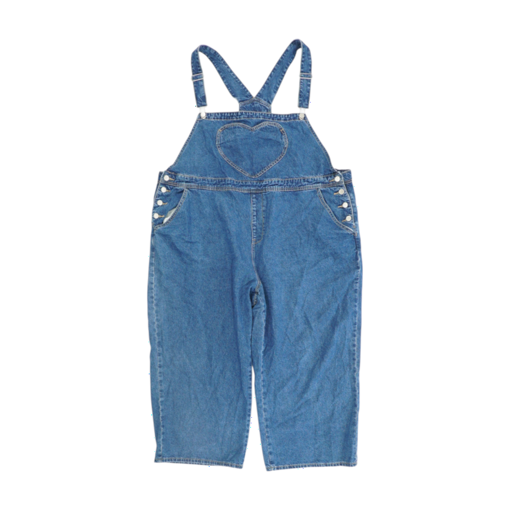 Blue Plus Size Regular Overalls