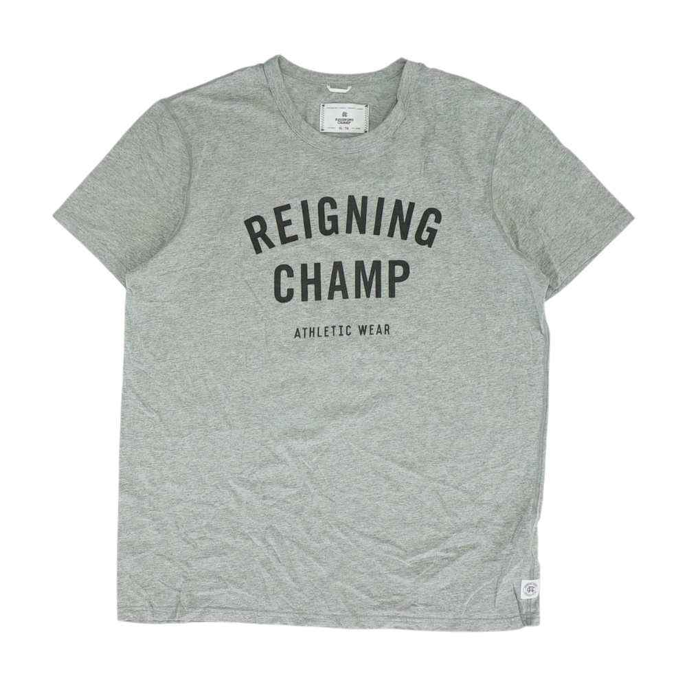 Gray Solid T-Shirt