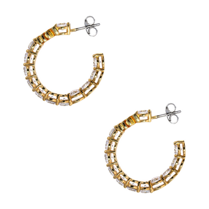 Costume Hoop Earrings